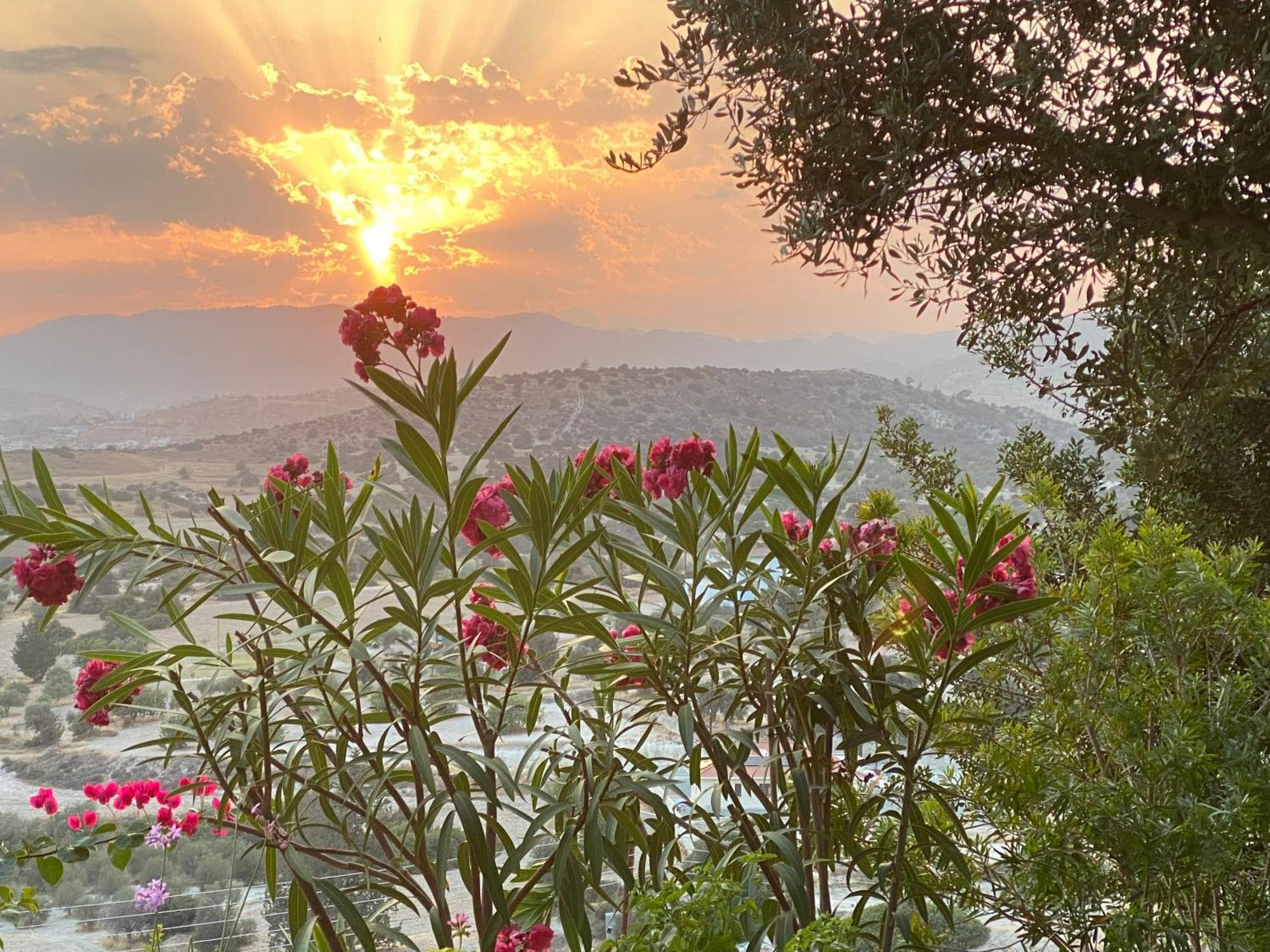 Endless Sunset Villa Pentakomo Bagian luar foto